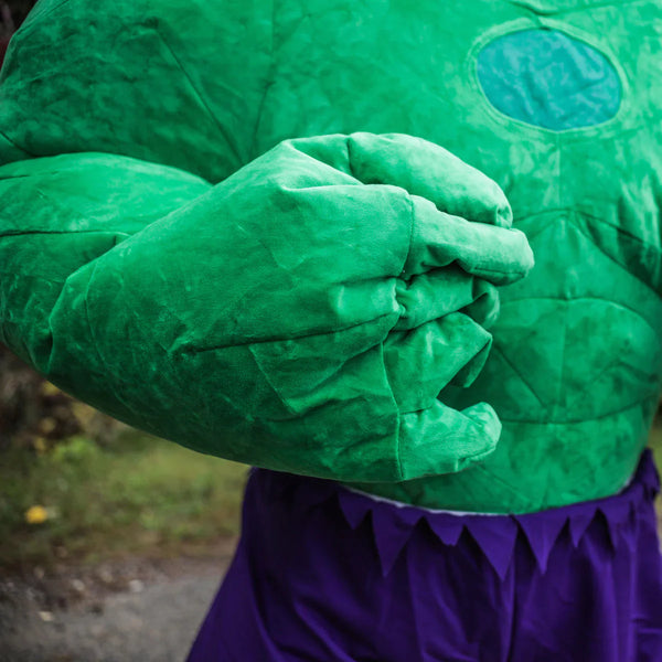 Costume de l'incroyable Hulk🧟